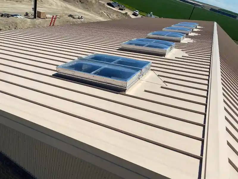 Tan standing-seam commercial roof with a row of skylights