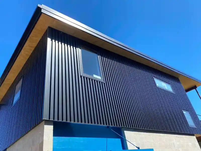 Modern two-storey building in black vertical metal siding and standing seam