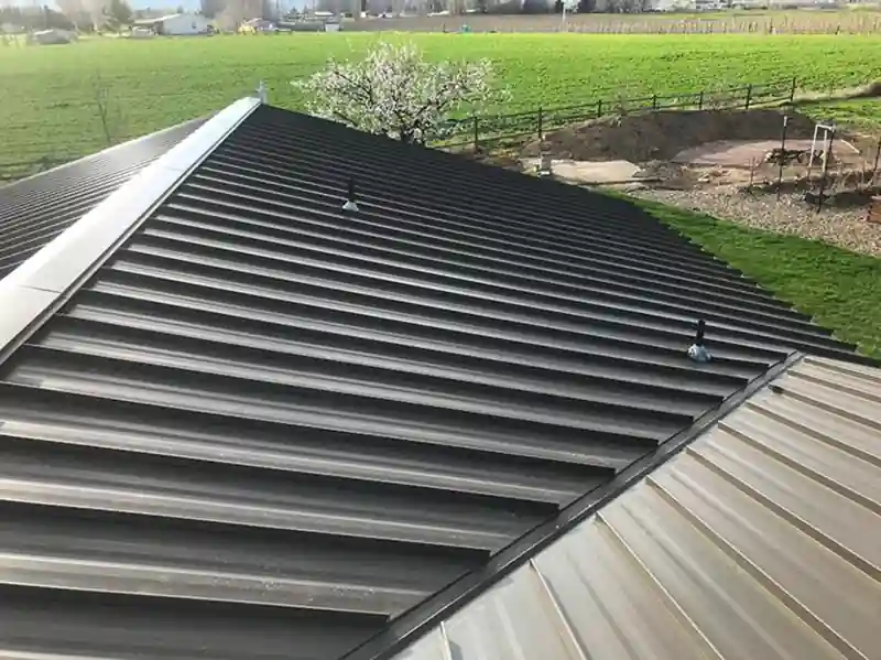 Dark standing-seam ridge running over a green field on a home roofed by New Castle