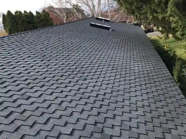Charcoal architectural shingle field with roof vents