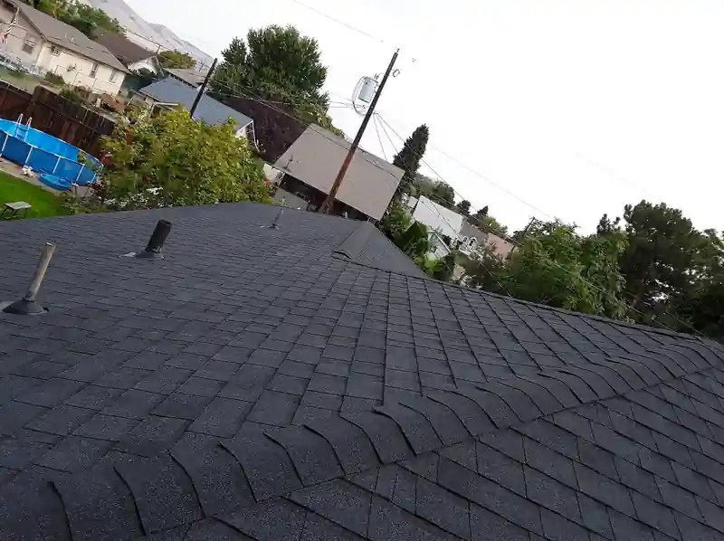 Dark shingle roof above a suburban backyard